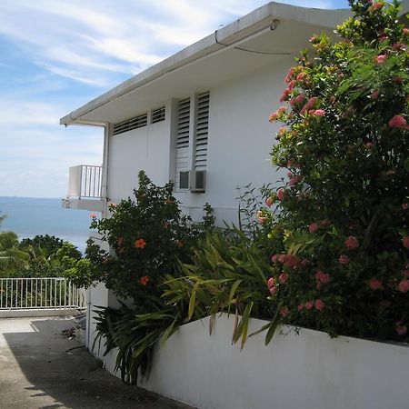 A Seascape Guest Room Fajardo Exteriör bild