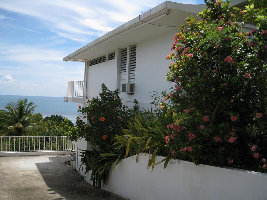 A Seascape Guest Room Fajardo Exteriör bild